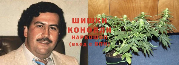 герыч Арсеньев