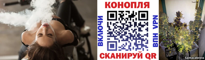 Каннабис семена  Купить где  Белоярский 